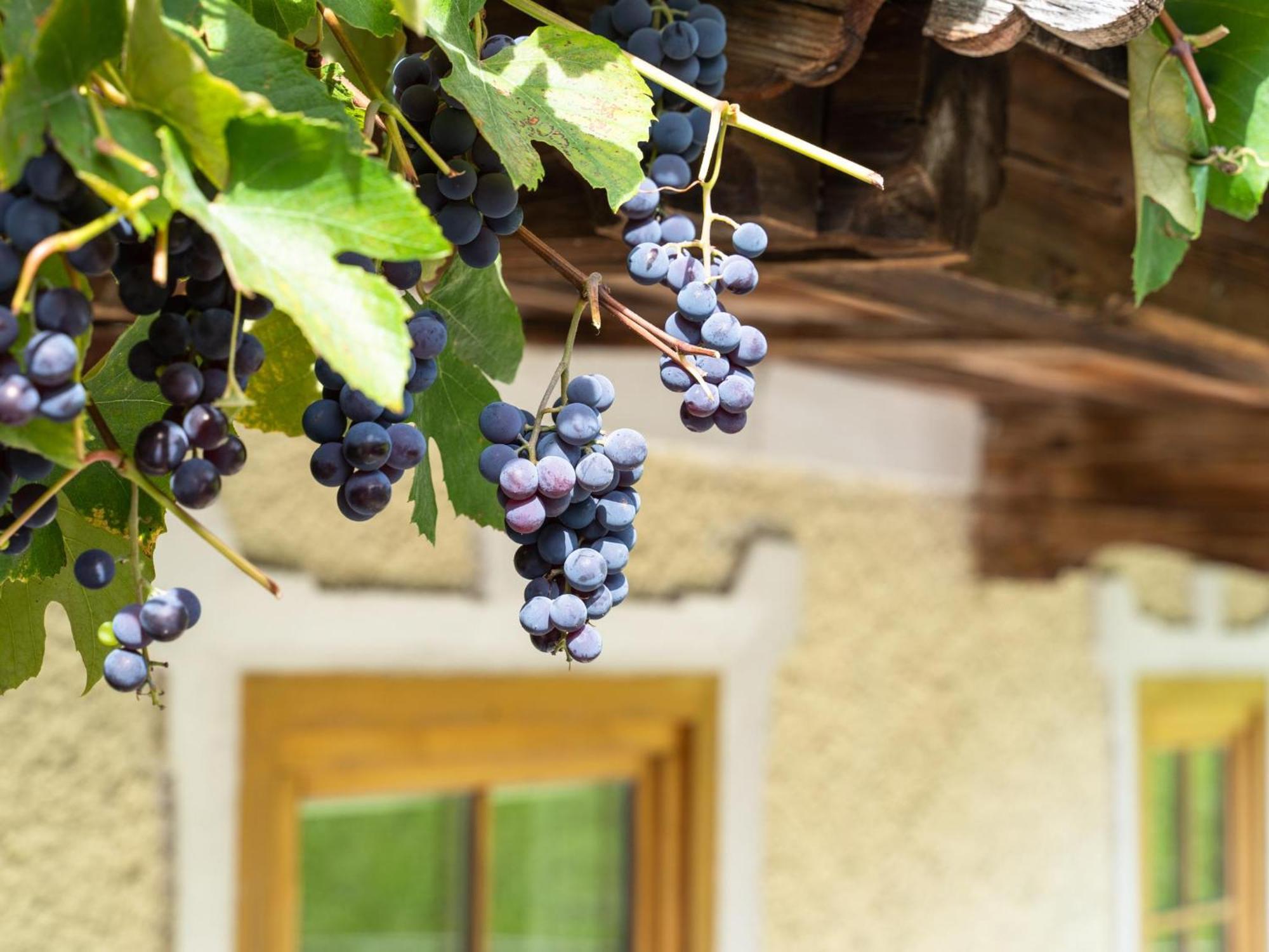 Chalet Anna Bruck am Ziller ภายนอก รูปภาพ